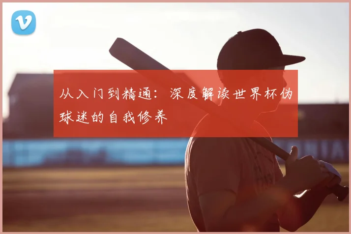 从入门到精通:深度解读世界杯伪球迷的自我修养