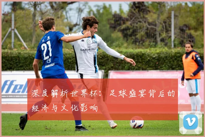 深度解析世界杯：足球盛宴背后的经济与文化影响