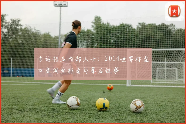 专访行业内部人士:2014世界杯盘口查询全指南与幕后故事