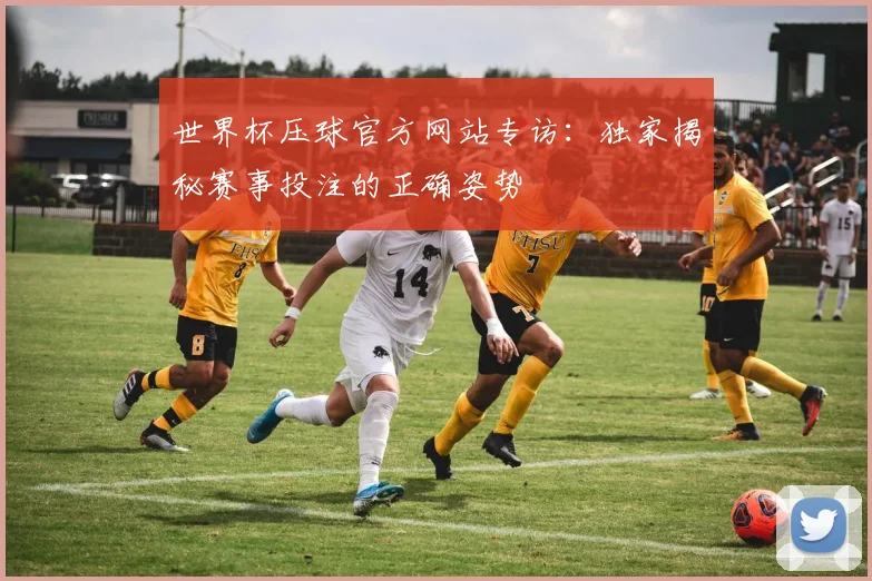 世界杯压球官方网站专访：独家揭秘赛事投注的正确姿势