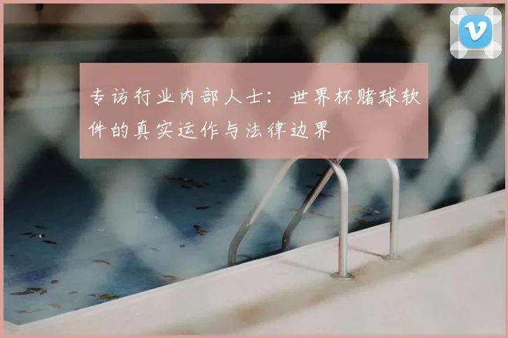 专访行业内部人士：世界杯赌球软件的真实运作与法律边界