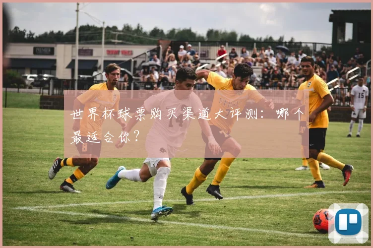 世界杯球票购买渠道大评测:哪个最适合你?